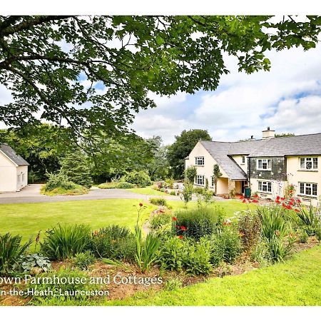 Swallows Cottage Launceston Exterior photo
